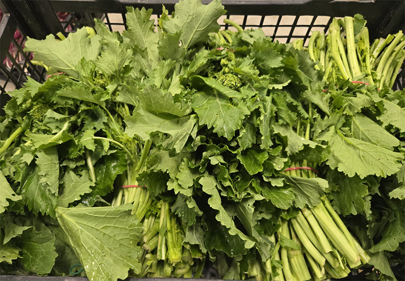 Cime di rapa - Puglia - 0,70 euro al chilogrammo